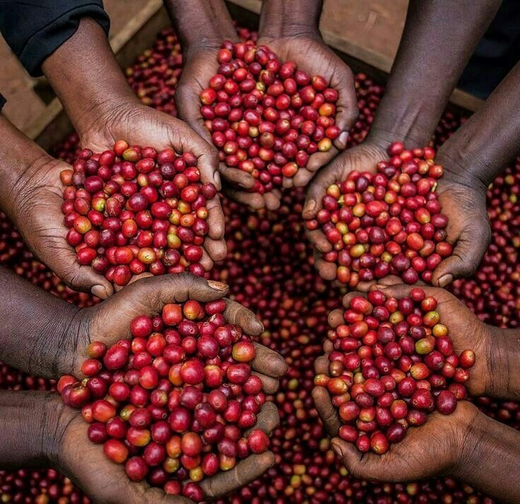 Traditional Processing